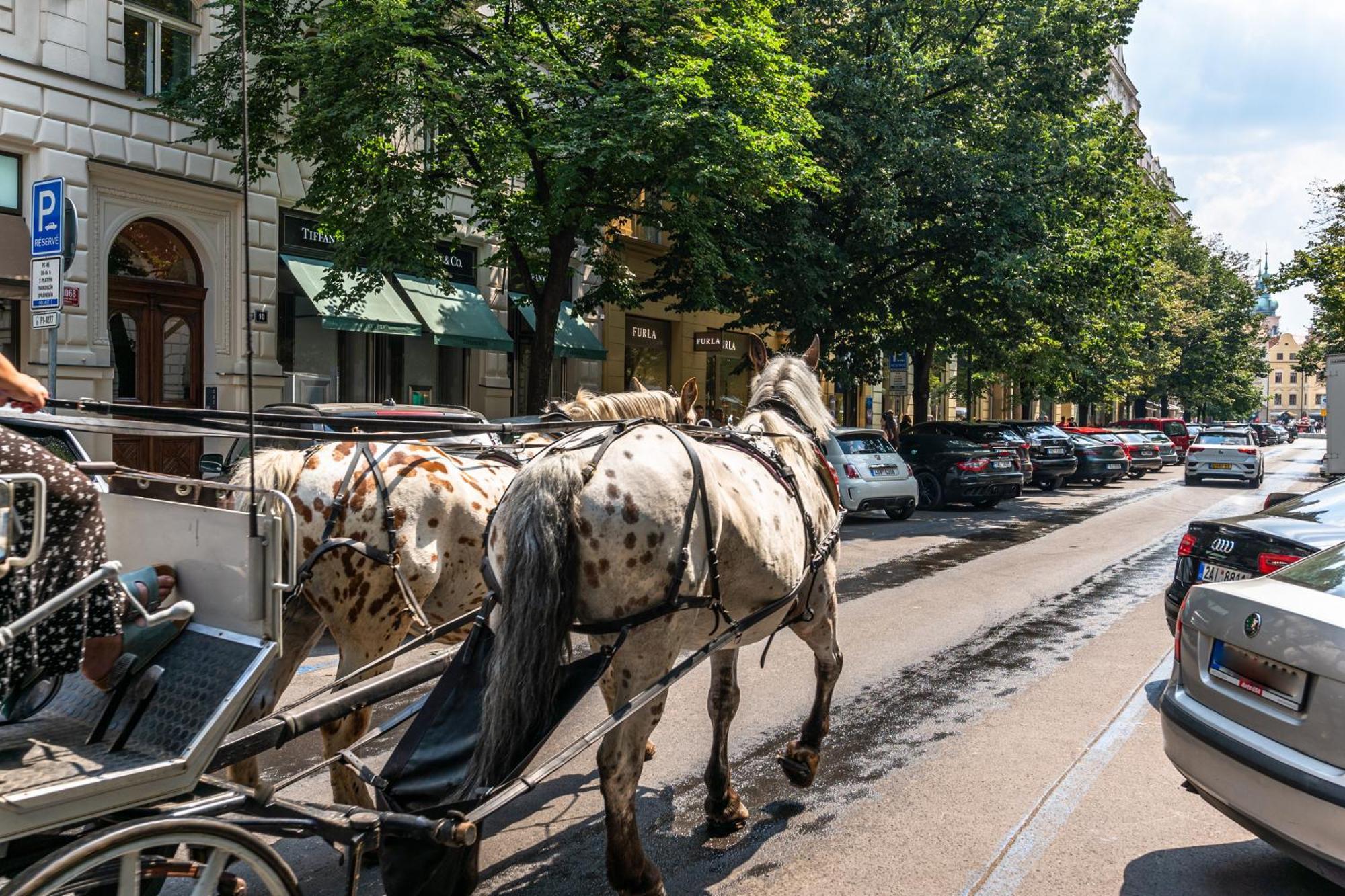 Wishlist Prague Residences - Old Town Dlouha Buitenkant foto